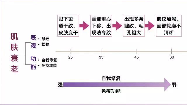 干细胞让您实现同岁不同龄！(图9)