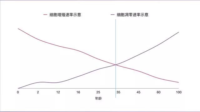 干细胞让您实现同岁不同龄！(图3)