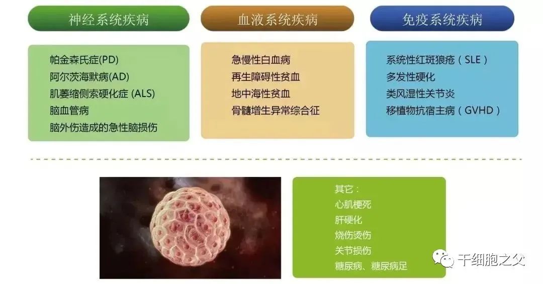 干细胞丨我的梦想就是让人类都健康的活着，活得更有品质、更长久！(图2)