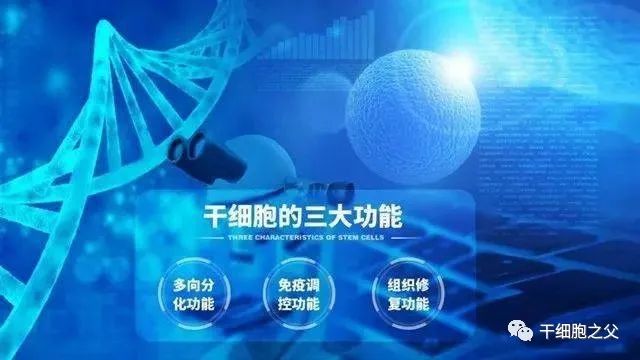 干细胞治疗原发性干燥综合征的研究进展(图2)