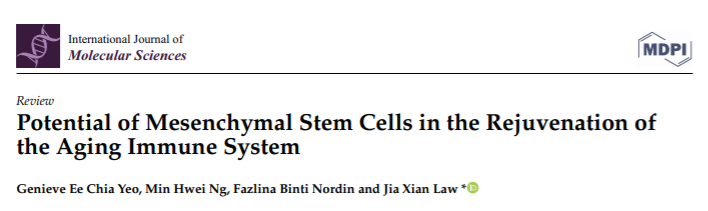 新综述：间充质干细胞恢复老化的免疫系统，改善健康(图1)