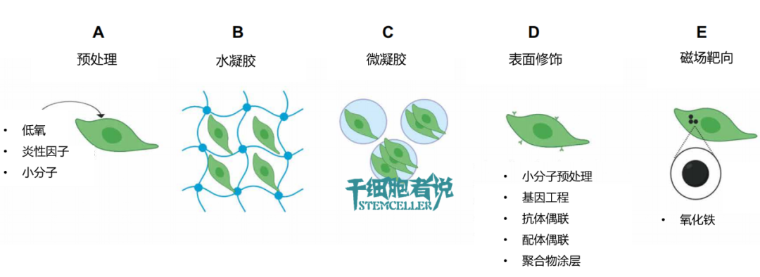 探讨：间充质干细胞药物给药方式，如何达到最佳治疗效果？(图1)