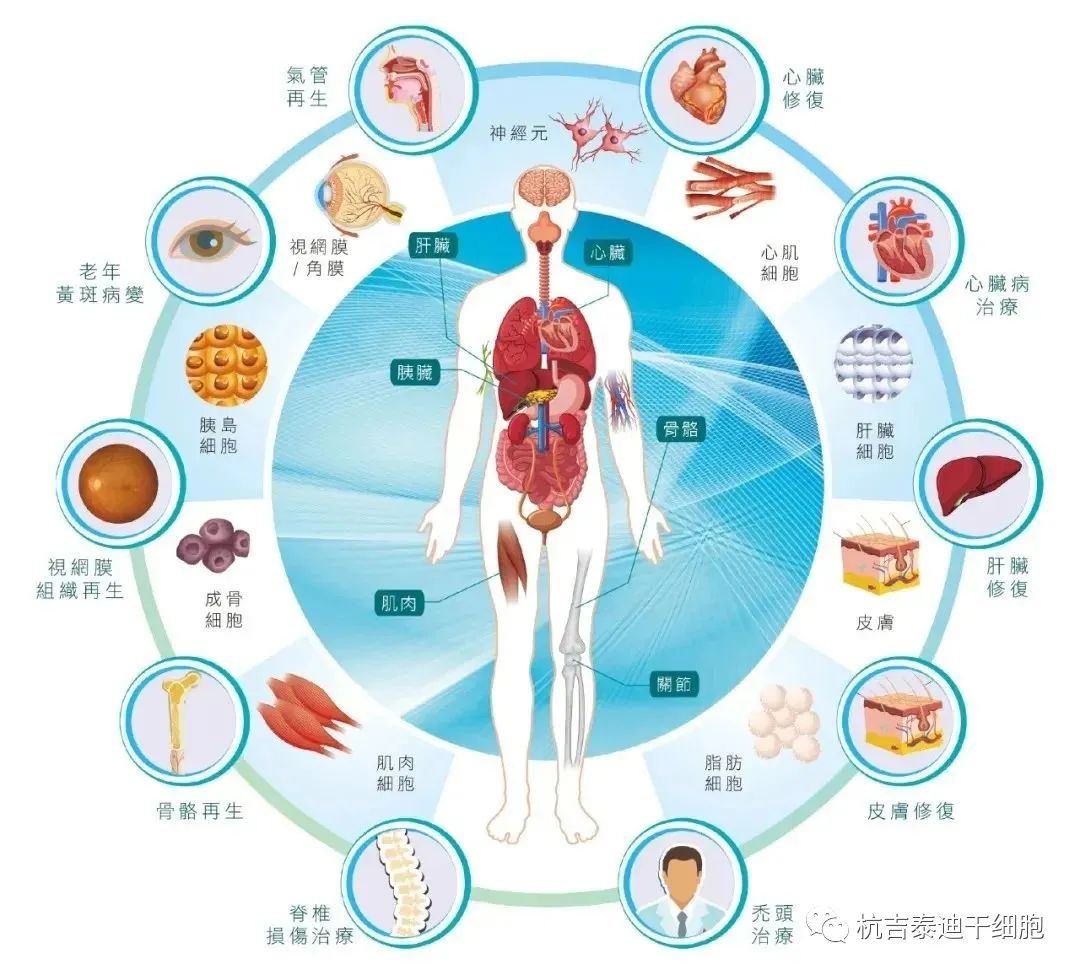 综述丨我国已有5项干细胞治疗疾病「专家共识」，以及多种疾病推荐使用干细胞治疗(图1)