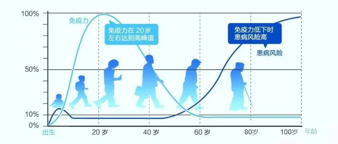 超全科普：关于免疫细胞，你需要了解的10个问题！(图7)