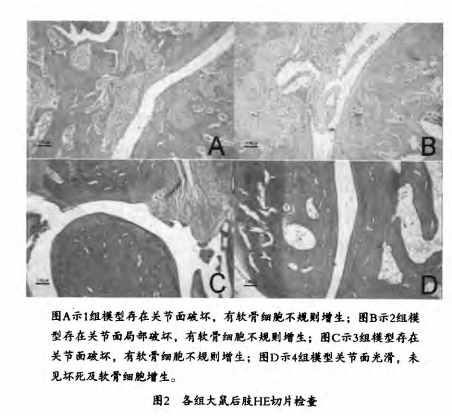 间充质干细胞治疗类风湿关节炎效果显著(图8)