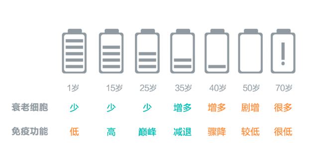 干细胞为何是再生医学的核心(图4)