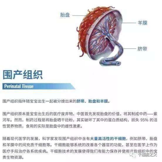 光明日报：胎盘、脐带血中蕴含的干细胞，被认为是未来医学发展新方向！(图2)