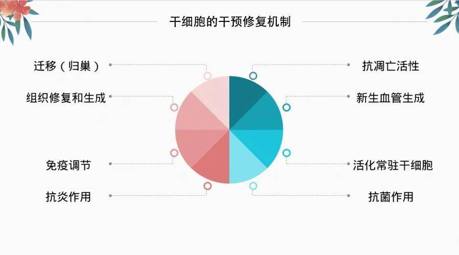 “神奇的干细胞疗法” 究竟对哪些疾病有帮助？(图1)